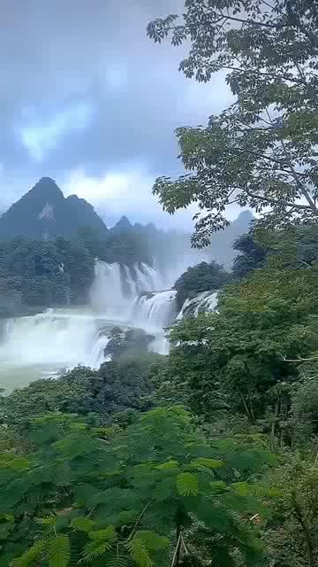 贺炳炎截肢后情绪低落，贺龙：你对不起为保证你手术牺牲的兄弟们